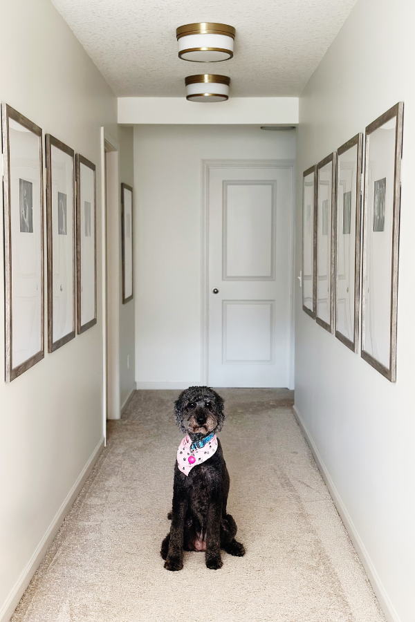 Neutral hallway with big frames on the wall, featuring a symmetrical gallery of 24x36 frame on wall designs with large matted frames and black-and-white family photos for a timeless and classic interior design style. A black doodle dog sits in the center of the hallway, adding warmth to the neutral-toned space.